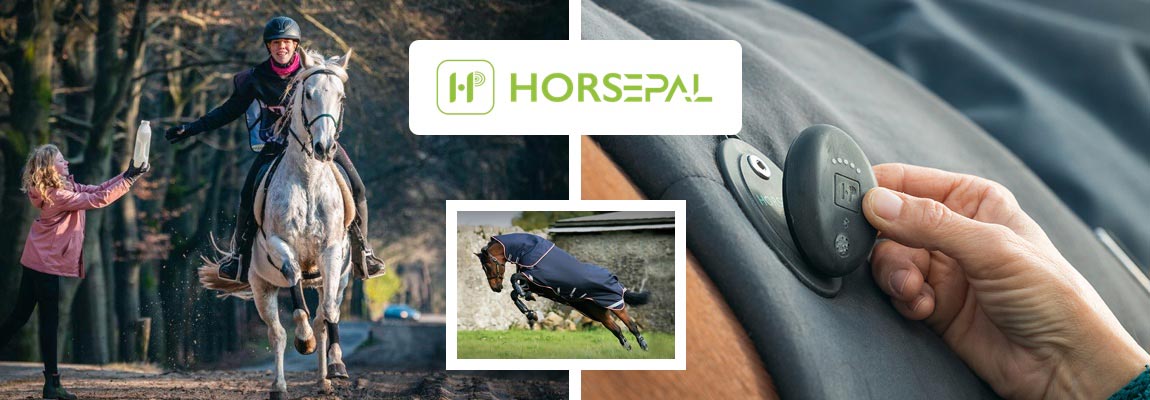 IoT for Equine Welfare and Performance