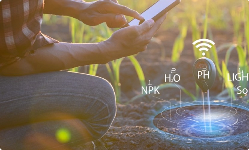 smart agriculture